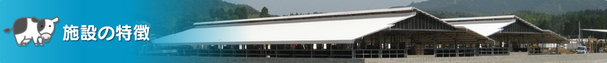 施設の特徴