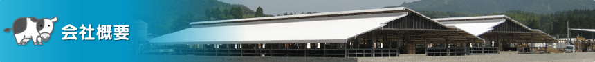 会社概要